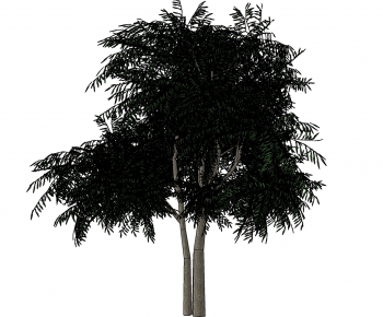 Modern Tree-ID:143515181