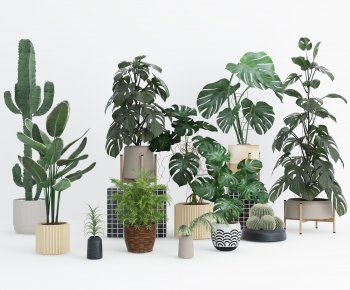 Modern Potted Green Plant-ID:509246635