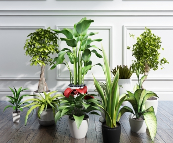 Modern Potted Green Plant-ID:484227733