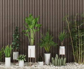 Modern Potted Green Plant-ID:461832454