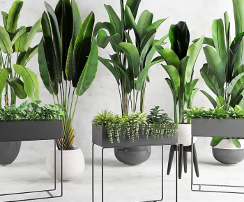 Modern Potted Green Plant-ID:238286762