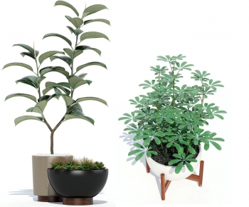 Modern Potted Green Plant-ID:609249524