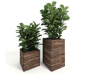 Modern Potted Green Plant-ID:532887941