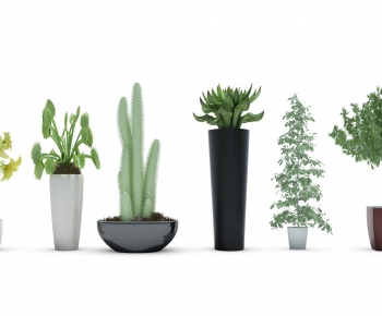 Modern Potted Green Plant-ID:632835346