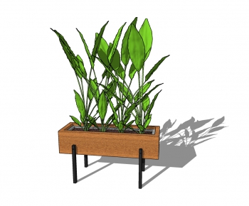 Modern Potted Green Plant-ID:818642383