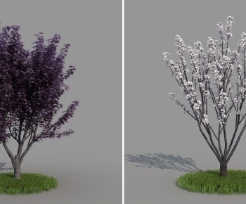 Modern Tree-ID:535227956