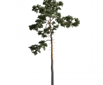 Modern Tree-ID:623450878