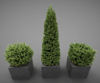 Modern Potted Green Plant-ID:818682593