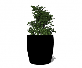 Modern Potted Green Plant-ID:283529584