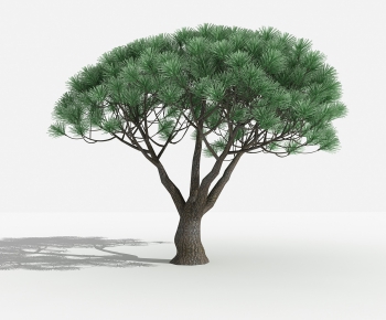 Modern Tree-ID:826529982