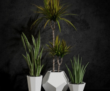 Modern Potted Green Plant-ID:455859224