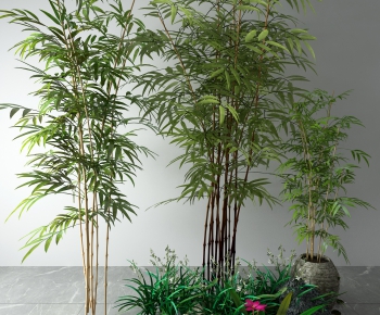Modern Bamboo-ID:623029661