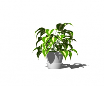 Modern Potted Green Plant-ID:769031112