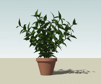 Modern Potted Green Plant-ID:806909472