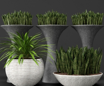 Potted Green Plant-ID:652712546