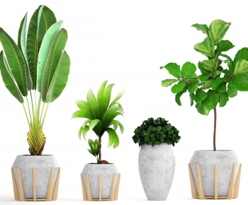 Modern Potted Green Plant-ID:799055251