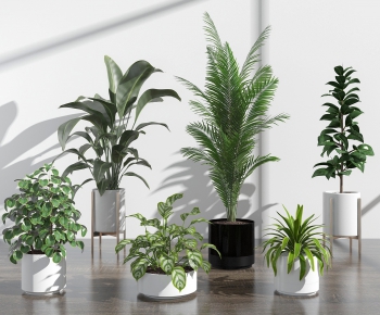 Modern Potted Green Plant-ID:347592586