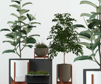 Modern Potted Green Plant-ID:850509168