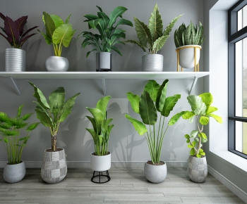 Modern Potted Green Plant-ID:478282717