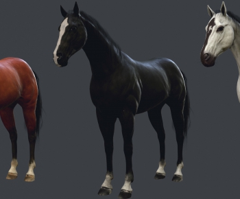 Modern Animal Horse-ID:272421234