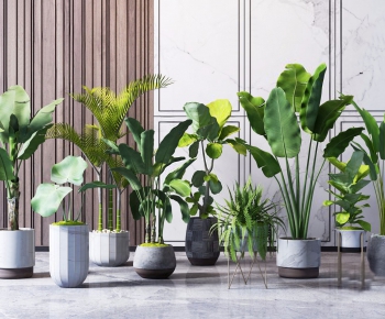 Modern Potted Green Plant-ID:680318725