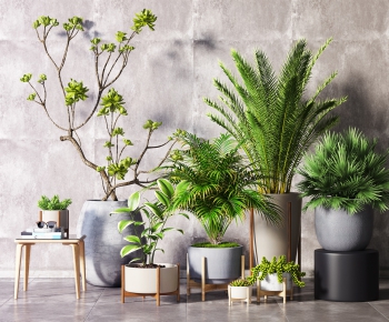Modern Potted Green Plant-ID:631514674