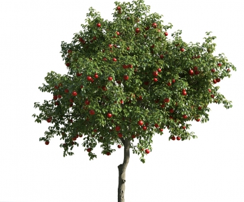 Modern Tree-ID:548310266