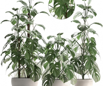 Modern Potted Green Plant-ID:719698259