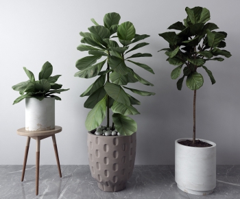 Modern Potted Green Plant-ID:114004893