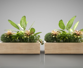 Modern Potted Green Plant-ID:978957716