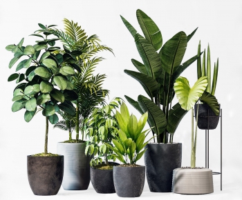 Modern Potted Green Plant-ID:176868211