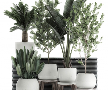 Modern Potted Green Plant-ID:720470551