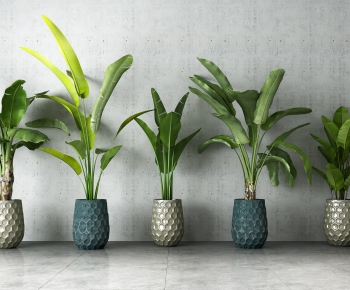 Modern Potted Green Plant-ID:551185758