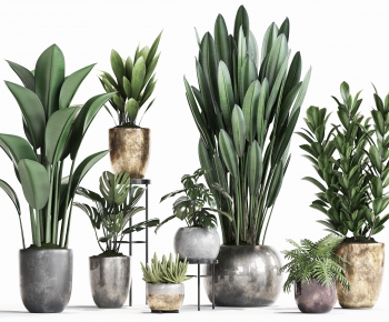 Modern Potted Green Plant-ID:232425372