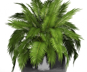 Modern Potted Green Plant-ID:507612855