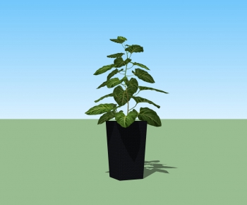 Modern Potted Green Plant-ID:722829938