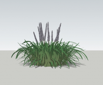 Modern Flowers And Grass-ID:582388525