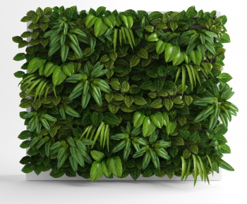 Modern Plant Wall-ID:775085157