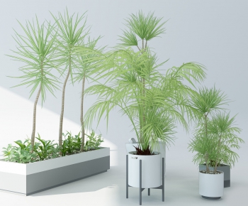 Modern Potted Green Plant-ID:617891492