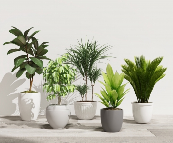 Modern Potted Green Plant-ID:915972424