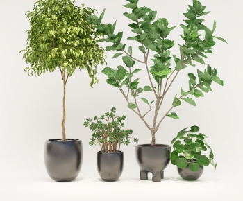 Modern Potted Green Plant-ID:264938898