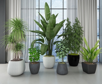 Modern Potted Green Plant-ID:429464369