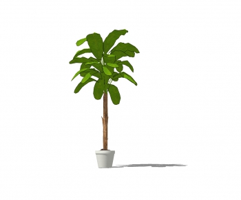 Modern Potted Green Plant-ID:627410934