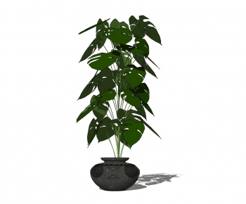 Modern Potted Green Plant-ID:280214753