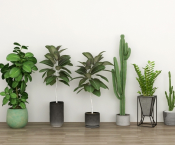 Modern Potted Green Plant-ID:511099661
