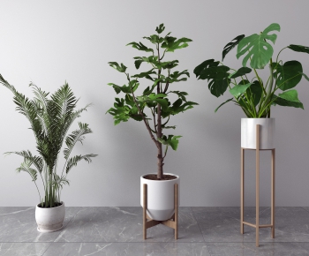 Modern Potted Green Plant-ID:304332123