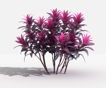 Modern Shrubbery-ID:965922843