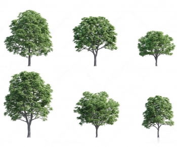 Modern Tree-ID:206643697