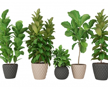 Modern Potted Green Plant-ID:504675911