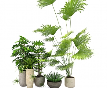Modern Potted Green Plant-ID:375869229